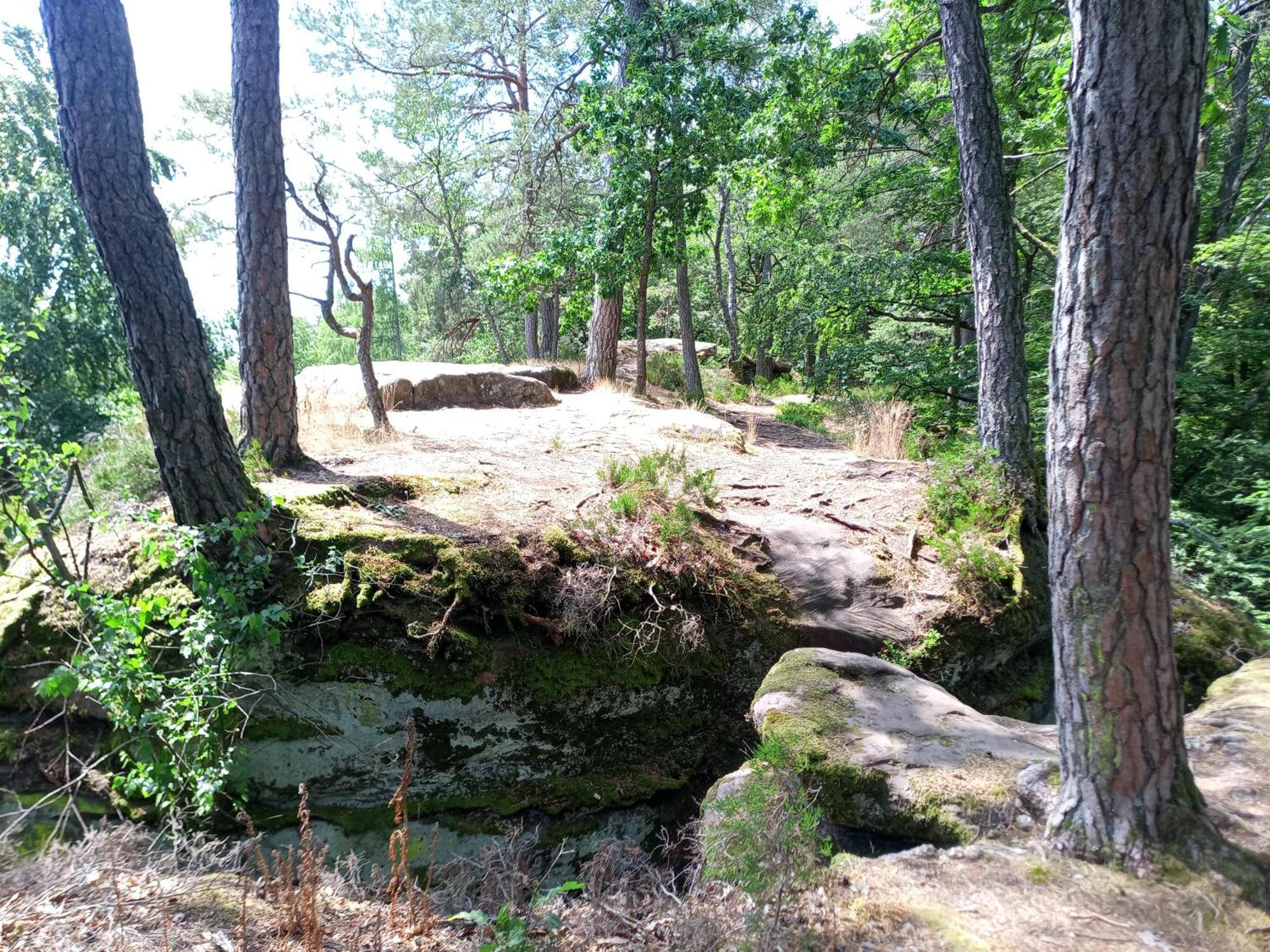 Zimmer Mit Sauna Und Kochgelegenheit Rott Luaran gambar